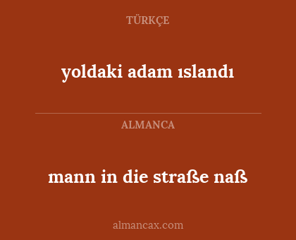 yoldaki adam ıslandı - mann in die straße naß