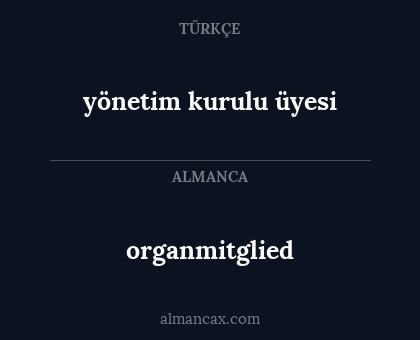 yönetim kurulu üyesi - organmitglied