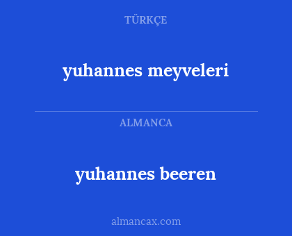 yuhannes meyveleri - yuhannes beeren