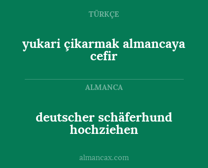 yukari çikarmak
almancaya cefir - deutscher schäferhund hochziehen