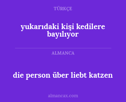 die person über liebt katzen - yukarıdaki kişi kedilere bayılıyor
