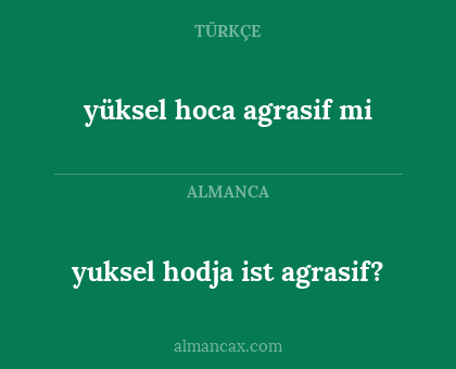 yüksel hoca agrasif mi - yuksel hodja ist agrasif?