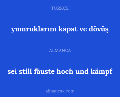sei still fäuste hoch und kämpf - yumruklarını kapat ve dövüş