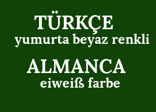 yumurta+beyaz+renkli-eiwei%C3%9F+farbe.png