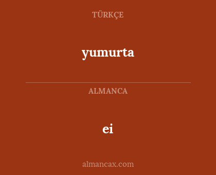 ei - yumurta
