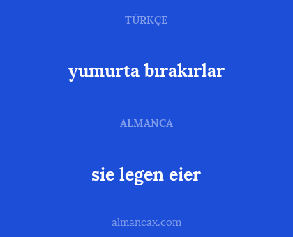 sie legen eier - yumurta bırakırlar