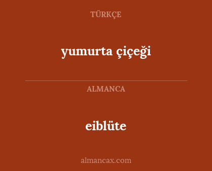 eiblüte - yumurta çiçeği
