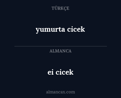 ei cicek - yumurta cicek