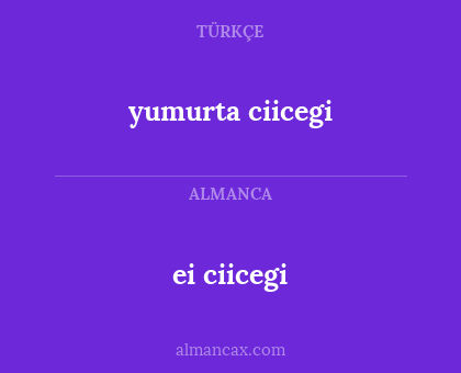yumurta ciicegi - ei ciicegi