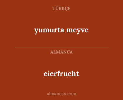 eierfrucht - yumurta meyve