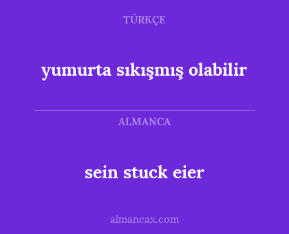 sein stuck eier - yumurta sıkışmış olabilir