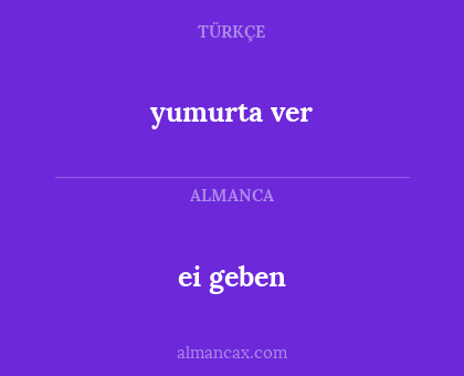 ei geben - yumurta ver