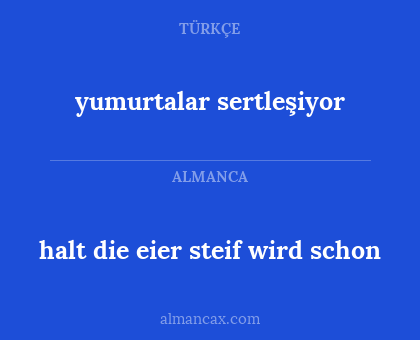 halt die eier steif wird schon - yumurtalar sertleşiyor