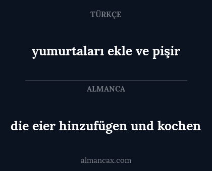 die eier hinzufügen und kochen - yumurtaları ekle ve pişir