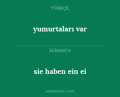 yumurtaları var - sie haben ein ei