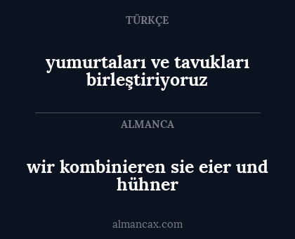 wir kombinieren sie eier und hühner - yumurtaları ve tavukları birleştiriyoruz