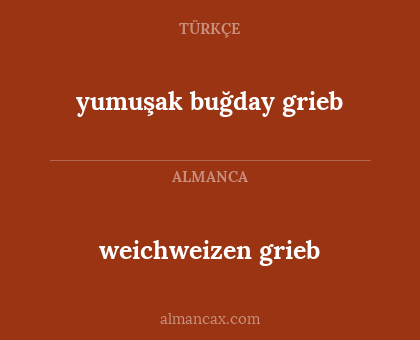 weichweizen
grieb - yumuşak buğday
grieb