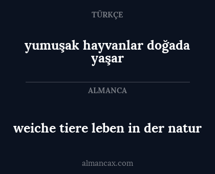 weiche tiere leben in der natur - yumuşak hayvanlar doğada yaşar