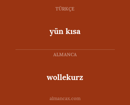yün kısa - wollekurz