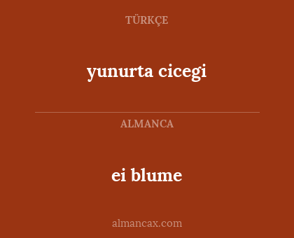 ei blume - yunurta cicegi