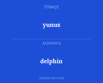 yunus - delphin