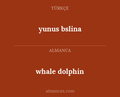 whale dolphin - yunus bslina