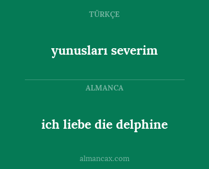 yunusları severim - ich liebe die delphine