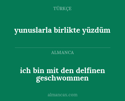 ich bin mit den delfinen geschwommen - yunuslarla birlikte yüzdüm