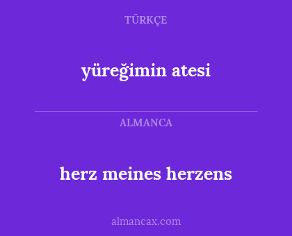 herz meines herzens - yüreğimin atesi