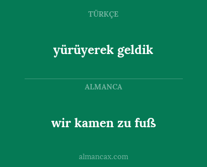 yürüyerek geldik - wir kamen zu fuß