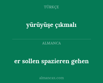 yürüyüşe çıkmalı - er sollen spazieren gehen