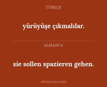 yürüyüşe çıkmalılar. - sie sollen spazieren gehen.