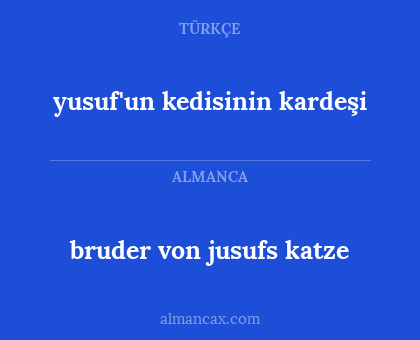 yusuf'un kedisinin kardeşi - bruder von jusufs katze