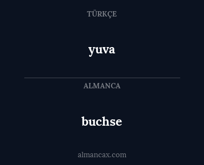 buchse - yuva