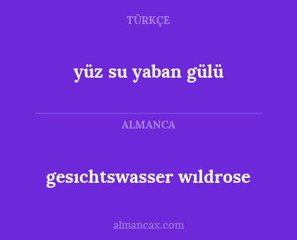 gesıchtswasser wıldrose - yüz su yaban gülü