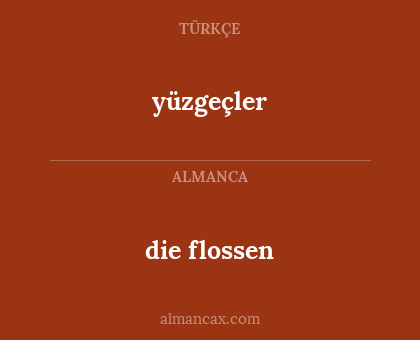 die flossen - yüzgeçler