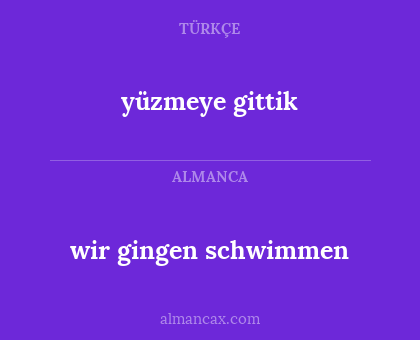 wir gingen schwimmen - yüzmeye gittik