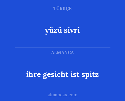 yüzü sivri - ihre gesicht ist spitz