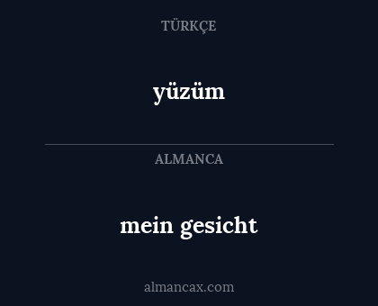 mein gesicht - yüzüm