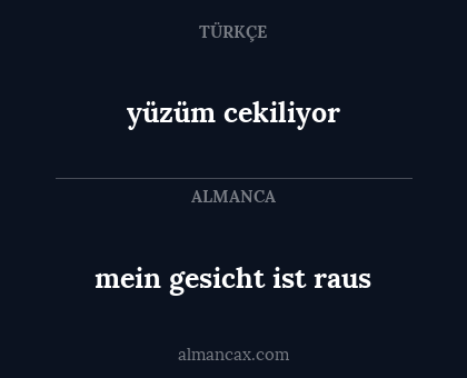 mein gesicht ist raus - yüzüm cekiliyor