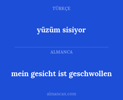 yüzüm sisiyor - mein gesicht ist geschwollen