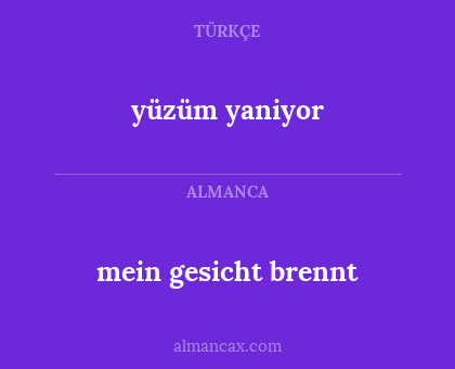 yüzüm yaniyor - mein gesicht brennt