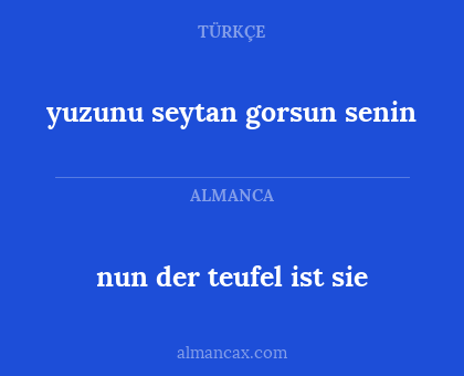 yuzunu seytan gorsun senin - nun der teufel ist sie