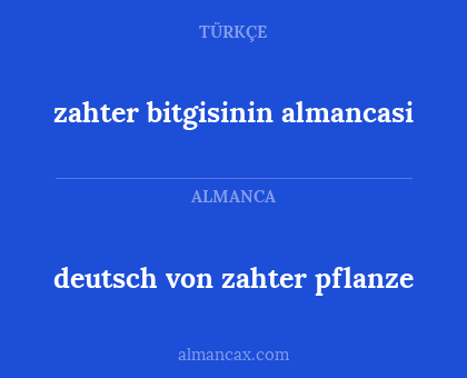 zahter bitgisinin almancasi - deutsch von zahter pflanze
