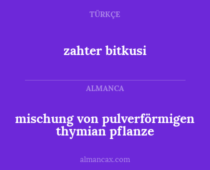 zahter bitkusi - mischung von pulverförmigen thymian pflanze