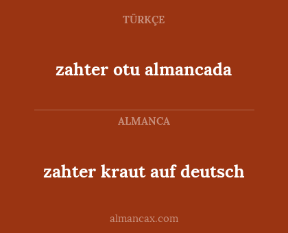 zahter otu almancada - zahter kraut auf deutsch