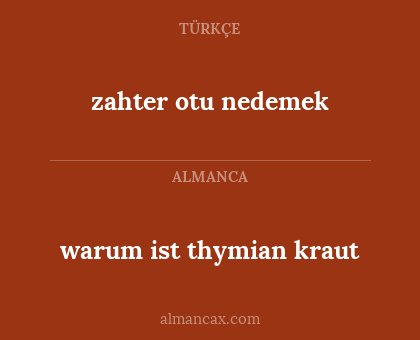 zahter otu nedemek - warum ist thymian kraut