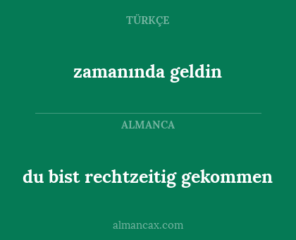 zamanında geldin - du bist rechtzeitig gekommen