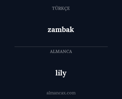 lily - zambak