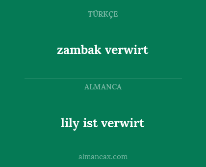 zambak verwirt - lily ist verwirt